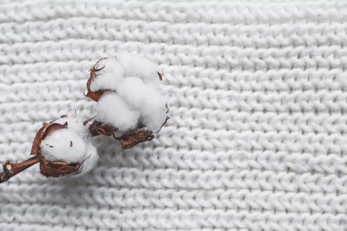 Cotton Flower with knitted cap and scarf, flat lay on marble background, winter style