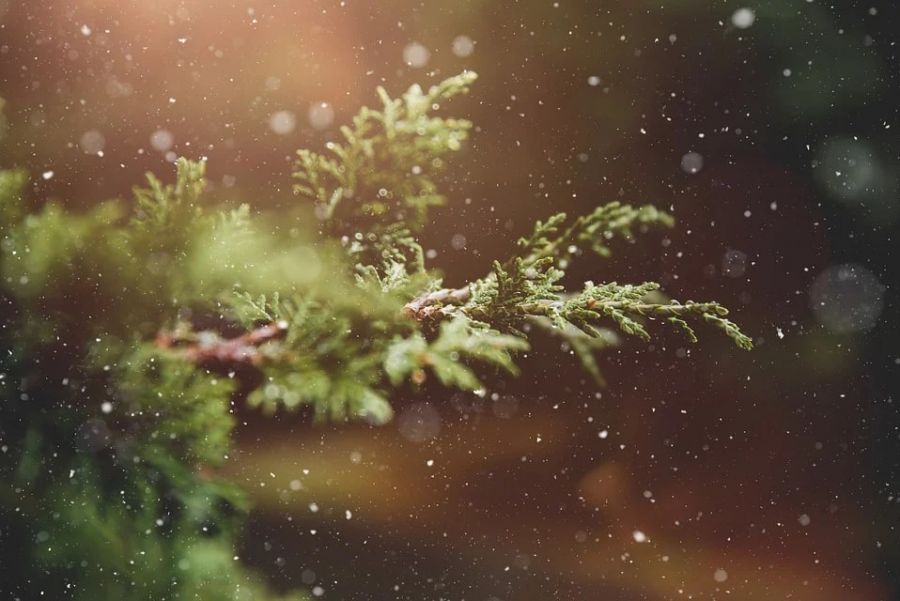 Vremea în mini-vacanţa de Sf. Andrei – 1 Decembrie 2021. Prognoza meteo completă