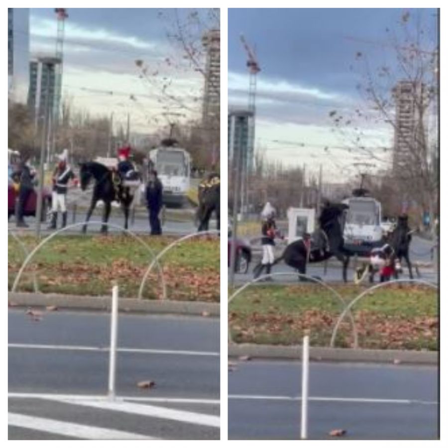 Moment devenit viral surprins la parada de 1 Decembrie! Un jandarm cade de pe cal