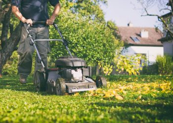 Mowing the grass with a lawn mower in early autumn. Gardener cuts the lawn in the garden.