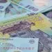 RON Leu Money European Currency