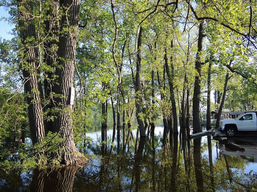 Un șofer a ajuns cu mașina în Lacul Bicaz, voia s-o spele