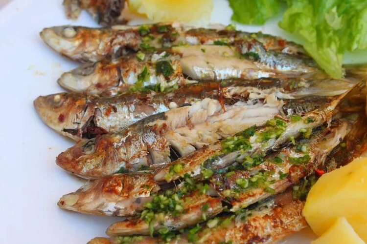 Un virus rar ucide mii de sardine pe coastele Africii de Sud