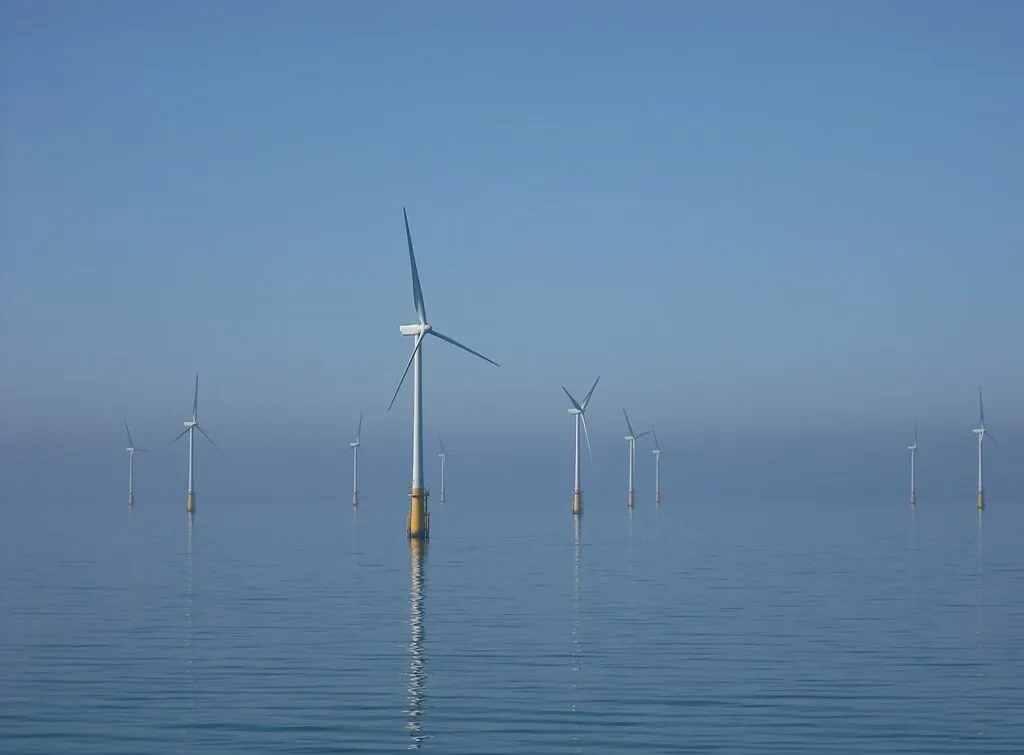 Guvernul a aprobat regulile pentru eolienele offshore din Marea Neagră