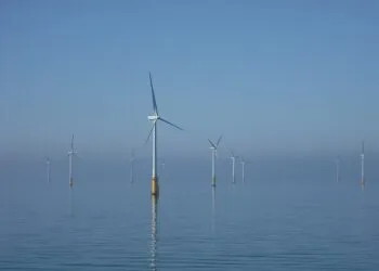 Guvernul a aprobat regulile pentru eolienele offshore din Marea Neagră