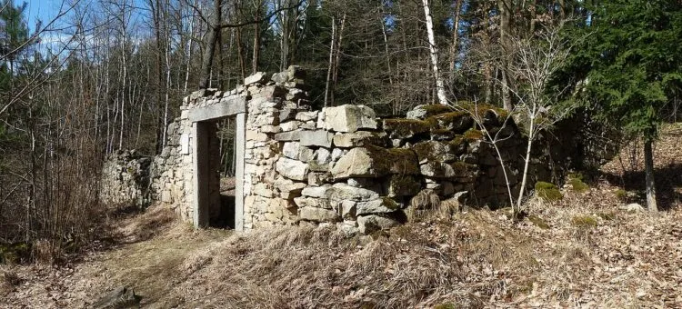 Cadavre din pandemie găsite într-o groapă comună la Slatina