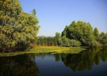 Medicii refuză să lucreze în Delta Dunării din cauza infrastructurii slabe
