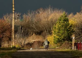 Pisicile și oamenii au o conexiune hormonală care calmeaza stresul