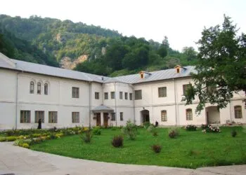 Elev din Bistrița a atacat cu cuțitul o profesoară și un coleg