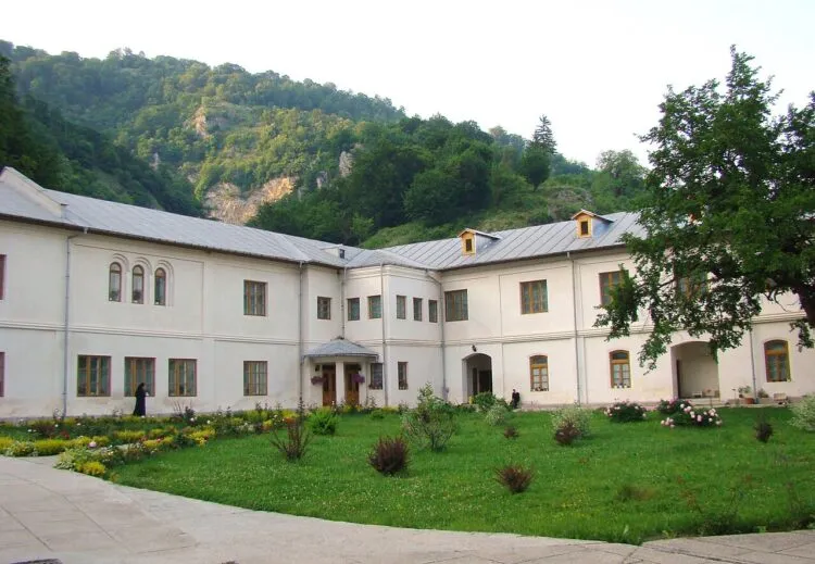 Elev din Bistrița a atacat cu cuțitul o profesoară și un coleg