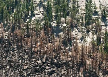 Pompieri continuă lupta cu incendiul din Parcul Domogled, focarele migrează spre sud